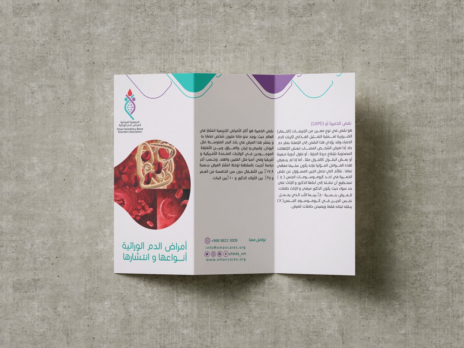 مطوية أمراض الدم الوراثية